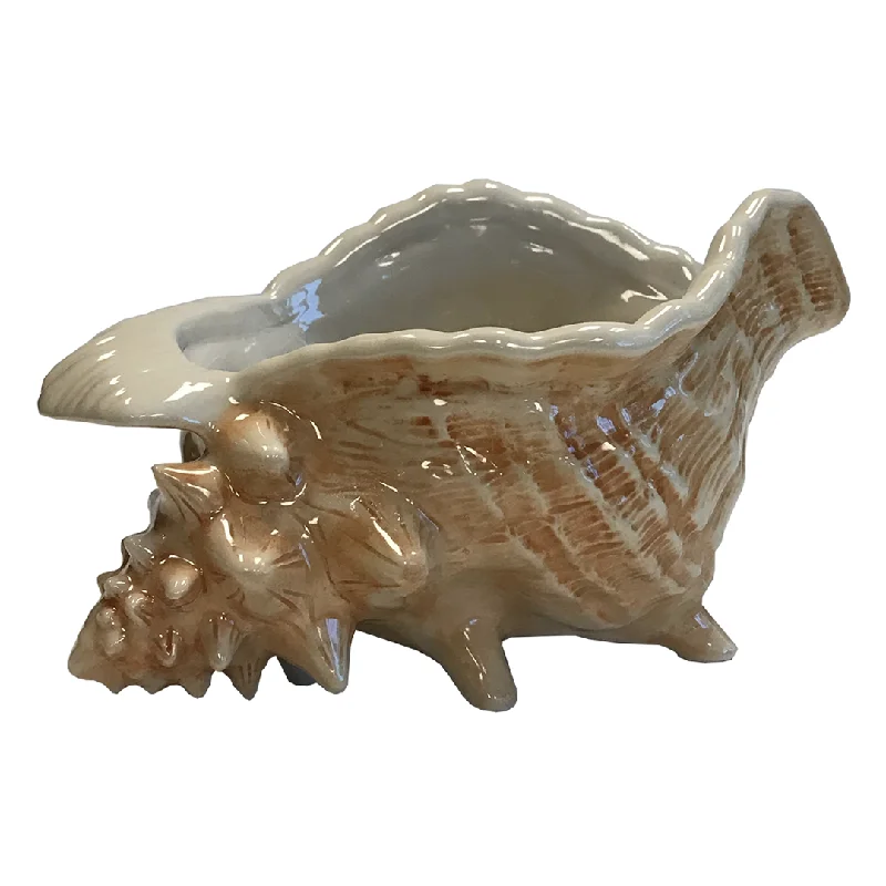 CONCH SHELL BOWL