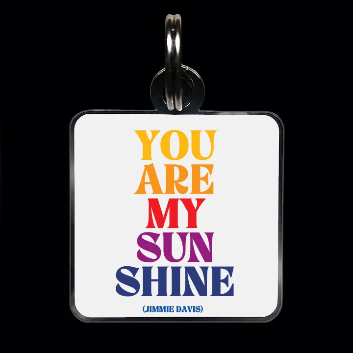 "you are my sunshine" pet collar charm