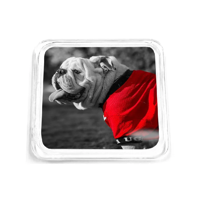 Georgia Bulldogs - Uga Poised Drink Coaster