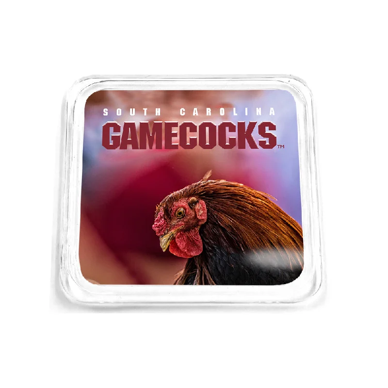 South Carolina Gamecocks - Sir Big Spur Coaster