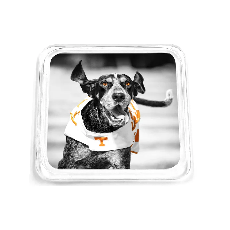 Tennessee Volunteers - Smokey TD Drink Coaster