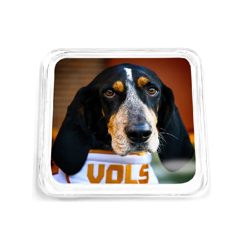 Tennessee Volunteers - Smokey Vols 2 Drink Coaster