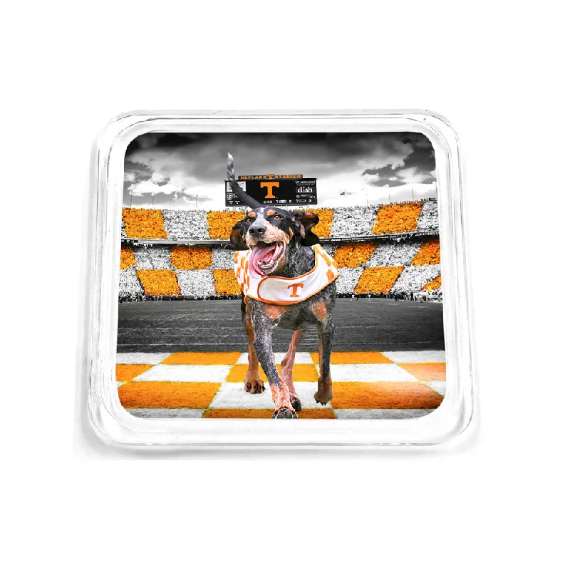 Tennessee Volunteers - Smokey's Backyard Drink Coaster